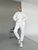 Спортивный костюм женский, на флисе - турецкая трехнитка Белый, M 1990231490 фото